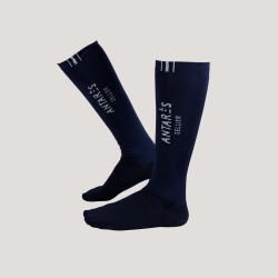 Antares Socken
