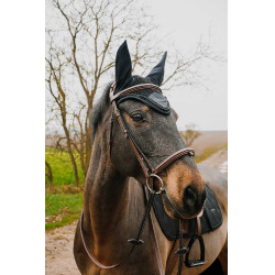 Ohrenhaube Equithème Pearl gegen Fliegen
