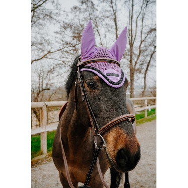 Ohrenhaube Equithème Pearl gegen Fliegen