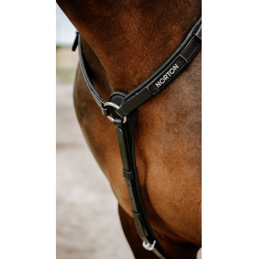 Brustblatt Endurance Norton Pop