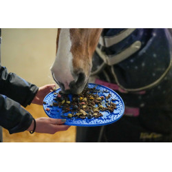 LIKIT Graze Paste Leckpaste