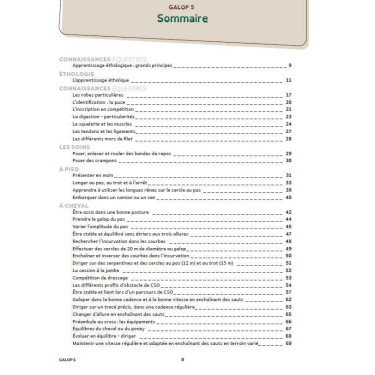 Galopp 5 bis 7 mit Lavauzelle-Videos