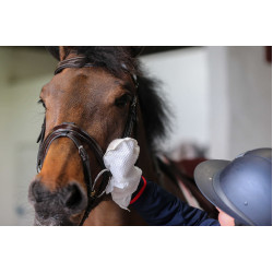 Belvoir® Carr & Day & Martin Tack Cleaner Reinigungshandschuhe