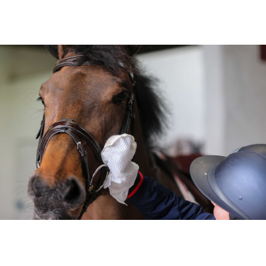 Belvoir® Carr & Day & Martin Tack Cleaner Reinigungshandschuhe
