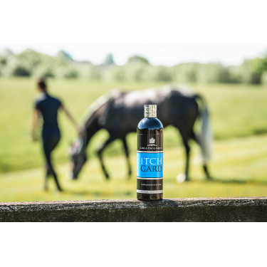 Sanfte Lotion Carr & Day & Martin Itchgard