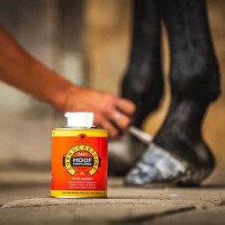 Öl für Hufe Carr & Day & Martin Daily Hoof Moisturiser Cornucrescine