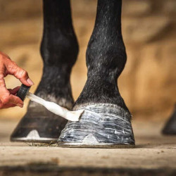 Öl für Hufe Carr & Day & Martin Daily Hoof Moisturiser Cornucrescine
