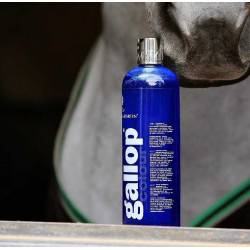 Gallop® Shampoo Carr & Day & Martin Grau
