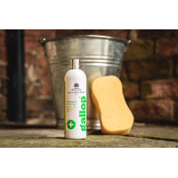 Shampoing antibactérien Gallop® Carr & Day & Martin