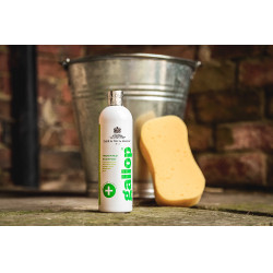 Antibakterielles Gallop®-Shampoo Carr & Day & Martin