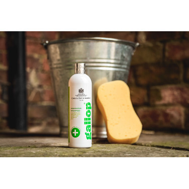 Antibakterielles Gallop®-Shampoo Carr & Day & Martin