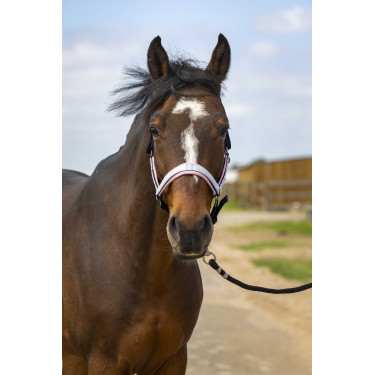 Halfter Equithème Nylon Check Halfter Equithème Nylon Check