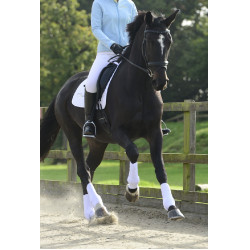 Vollständige S&F Gamaschen Equilibrium Vollständige S&F Gamaschen Equilibrium