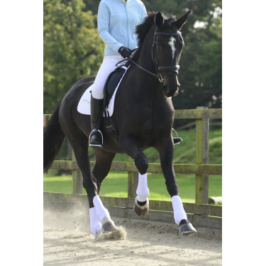 Vollständige S&F Gamaschen Equilibrium Vollständige S&F Gamaschen Equilibrium