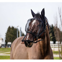 Halfter + UV-Schutzmaske Equithème Schwarz