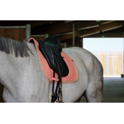 Satteldecke Equithème Softy
