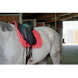 Satteldecke Equithème Softy