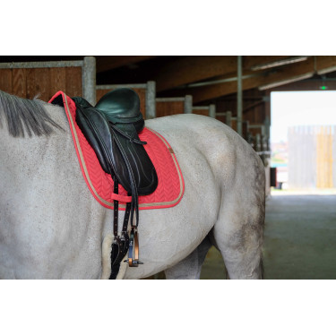 Satteldecke Equithème Softy