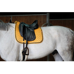 Satteldecke Equithème Glossy