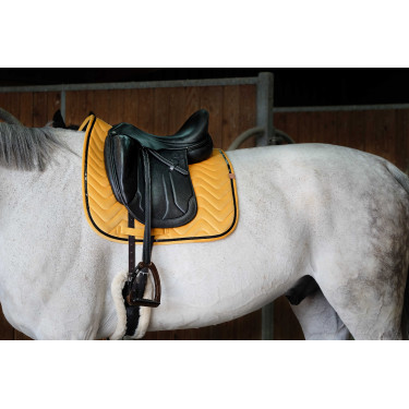 Satteldecke Equithème Glossy