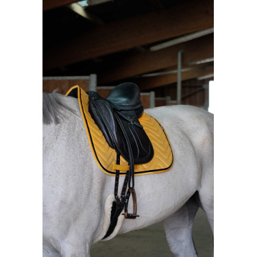 Satteldecke Equithème Glossy