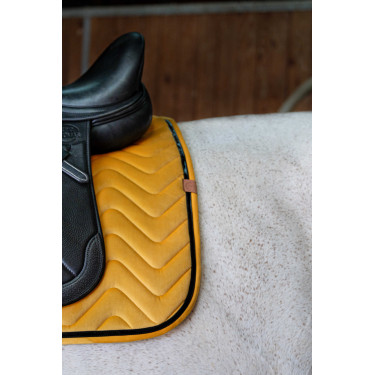 Satteldecke Equithème Glossy