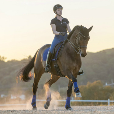 LeMieux Suede Dressur Schabracke Benetton Blau