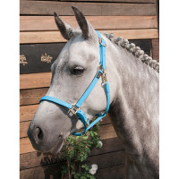 Halfter Biotack® T de T Himmelblau Halfter Biotack® T de T Himmelblau