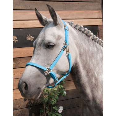 Halfter Biotack® T de T Halfter Biotack® T de T