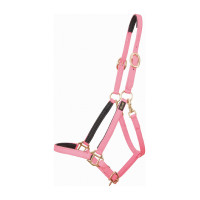 Halfter Biotack® T de T Pink Rosa