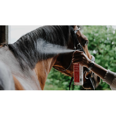 Glanz-Entwirrer Rekor Show Coat