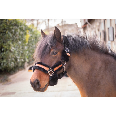 Pénélope Soft Halfter Schwarz