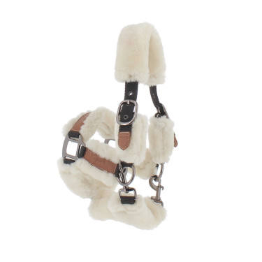 Pénélope Soft Halfter