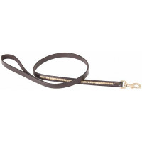 Hundeleine Clincher T de T Dunkles Havanna / Gelb