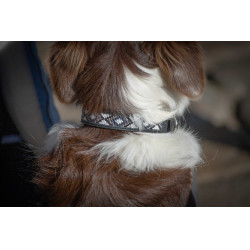 Hundehalsband Pénélope Pearl Hundehalsband Pénélope Pearl