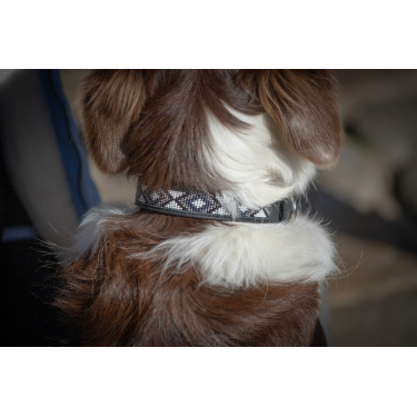 Hundehalsband Pénélope Pearl Hundehalsband Pénélope Pearl