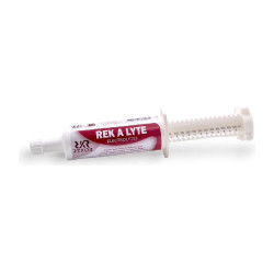 Ergänzungsfuttermittel Rekor Rek A Lyte flash Ergänzungsfuttermittel Rekor Rek A Lyte flash