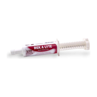 Ergänzungsfuttermittel Rekor Rek A Lyte flash Ergänzungsfuttermittel Rekor Rek A Lyte flash