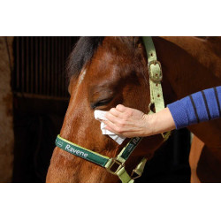 Easy Shine Wipe Ravene Reinigungstücher