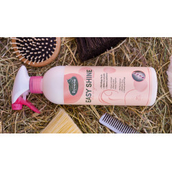 Easy Shine Ravene Eco-Nachfüllpack