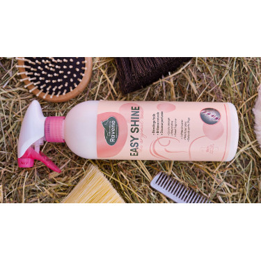 Easy Shine Ravene Eco-Nachfüllpack