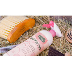 Easy Shine Ravene Eco-Nachfüllpack
