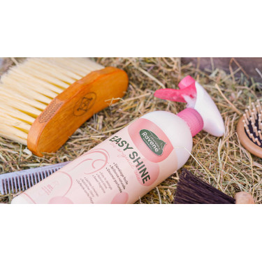 Easy Shine Ravene Eco-Nachfüllpack