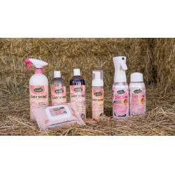 Easy Shine Ravene Eco-Nachfüllpack