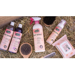 Easy Shine Ravene Eco-Nachfüllpack