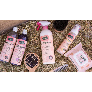 Easy Shine Ravene Eco-Nachfüllpack