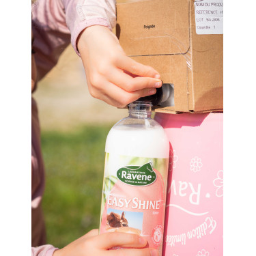 Easy Shine Ravene Eco-Nachfüllpack