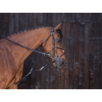 Flaschenzug Gogue Riding World Havanna Braun