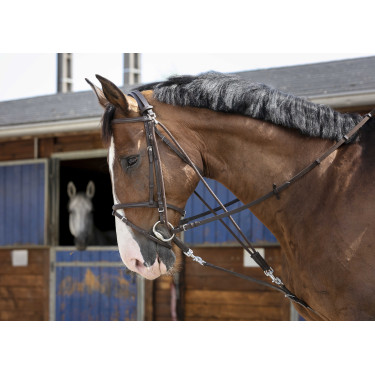 Flaschenzug Gogue Riding World Havanna Braun