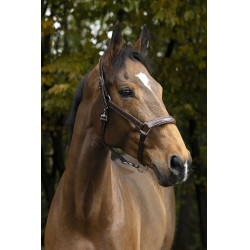 Anatomisches Halfter Norton Pro Anatomisches Halfter Norton Pro